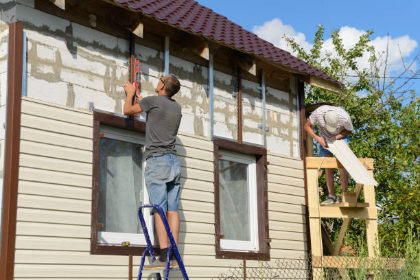 Affordable Siding Repair and Maintenance Services in Mazon, IL